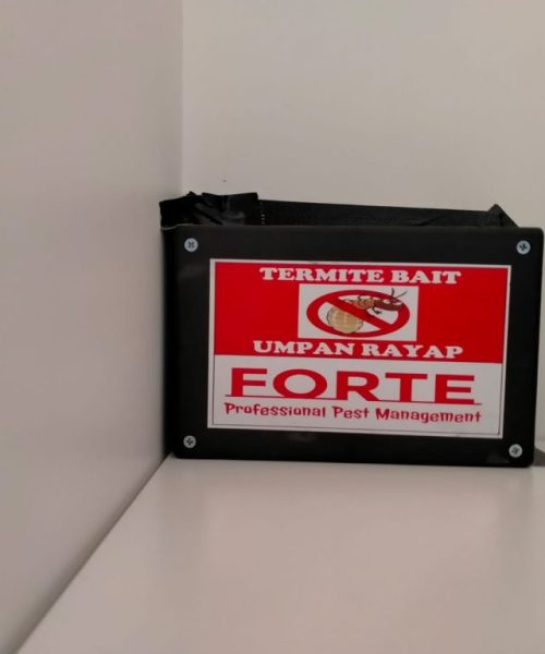 3c1329ac-c149-4a77-898e-3e31d7f3f0c4