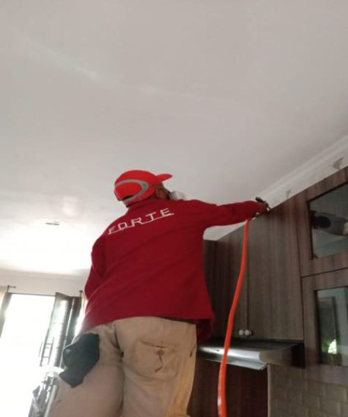 materi forte web-12 materi forte web-12