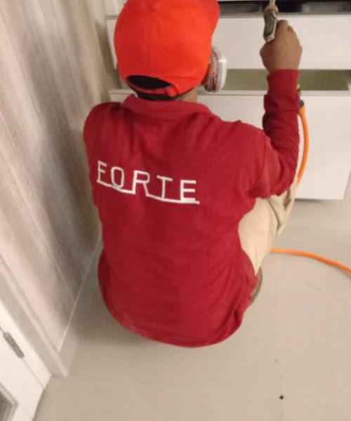 materi forte web-15 materi forte web-15